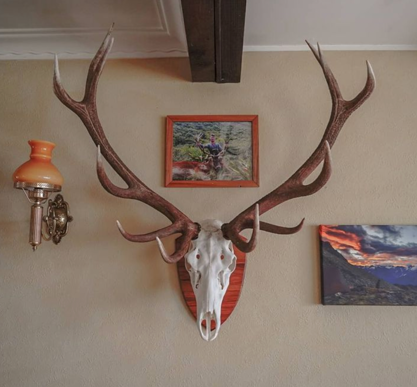 mtngear nz, mtngear hooks, mtngear trophyhooks, trophyhooks, trophy wall mounts, chamios hooks, tahr hooks, ram hooks, fallow deer hooks, goat hooks, red deer hooks, elk hooks, trophyhooks nz